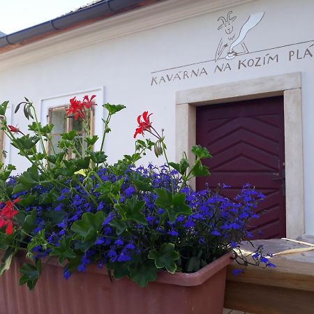 Cafe Kozi Placek Kutná Hora Kültér fotó