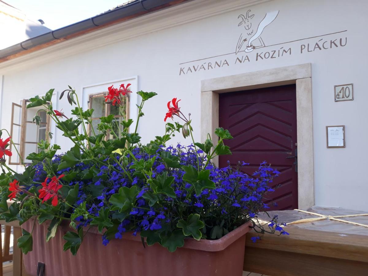 Cafe Kozi Placek Kutná Hora Kültér fotó